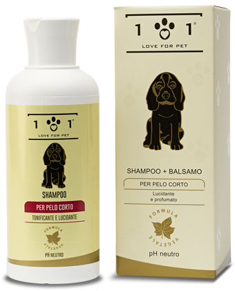Shampoo + Balsamo per Pelo Corto 250 ml