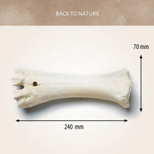 Charger l'image dans la galerie, Osso di Calcio 24cm